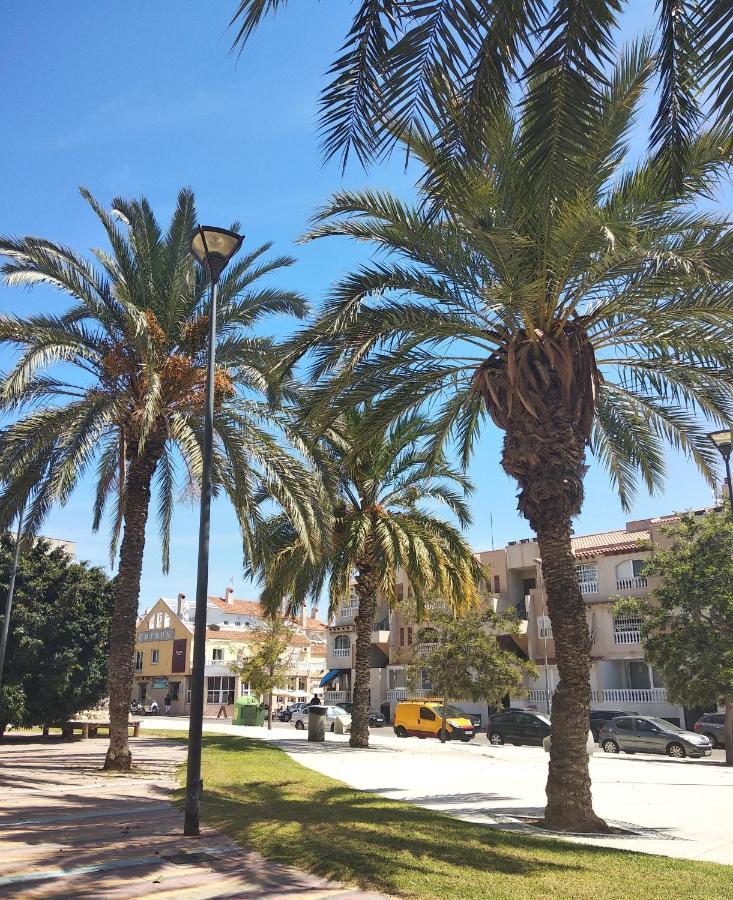 Tango Mango Apartment! Plaza 5 Min, Basen! Torrevieja Exterior photo